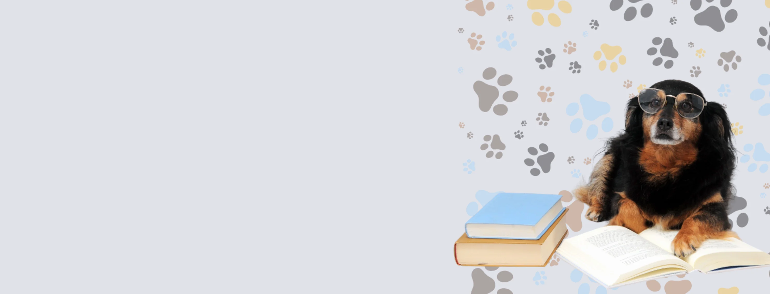 Dog Wearing Glasses Sitting with Books Dog Wearing Glasses Sitting with Books