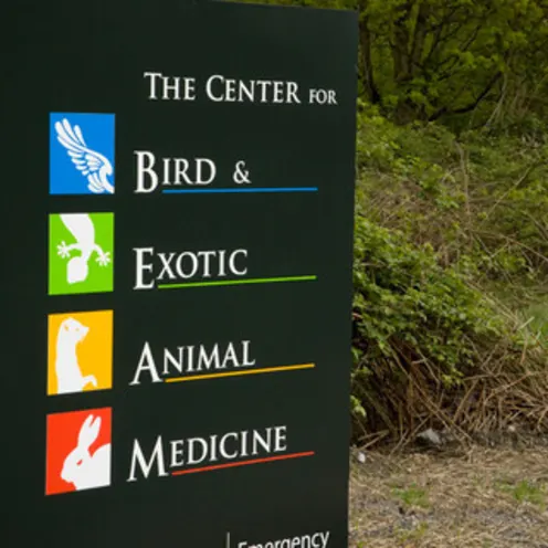 The Center for Bird and Exotic Medicine Exterior Sign