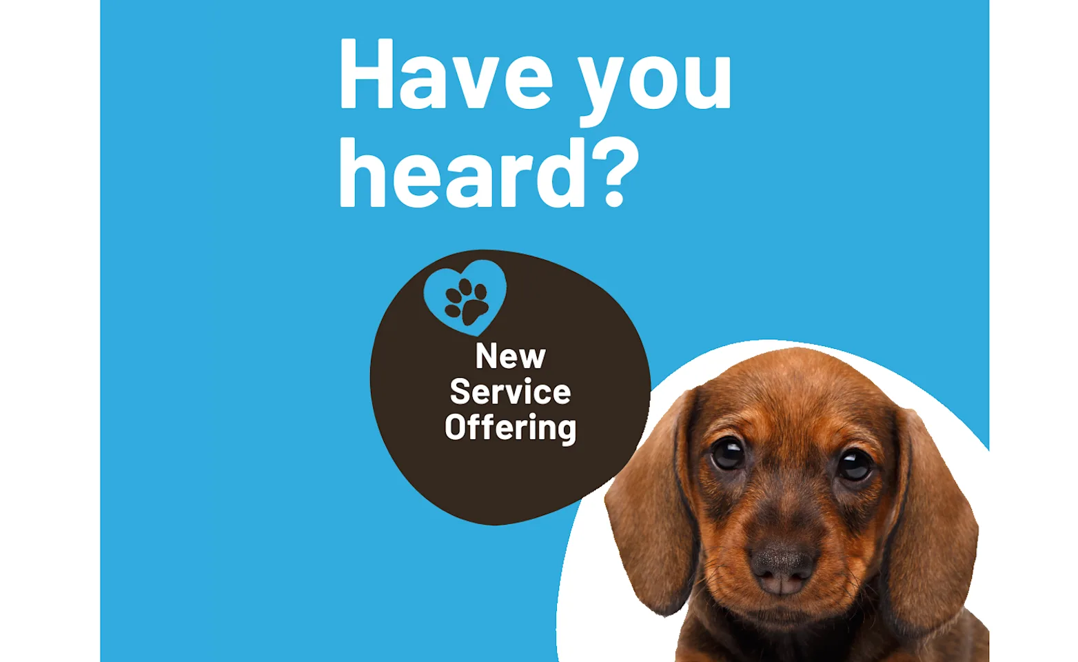 New Service Behavioral Assessment New Service Behavioral Assessment