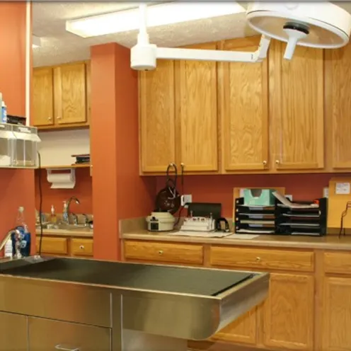 Treatment Area Treatment Area