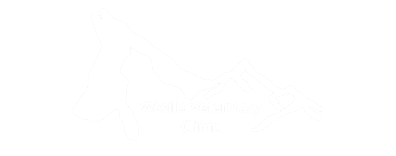 Wasilla Veterinary Clinic Logo