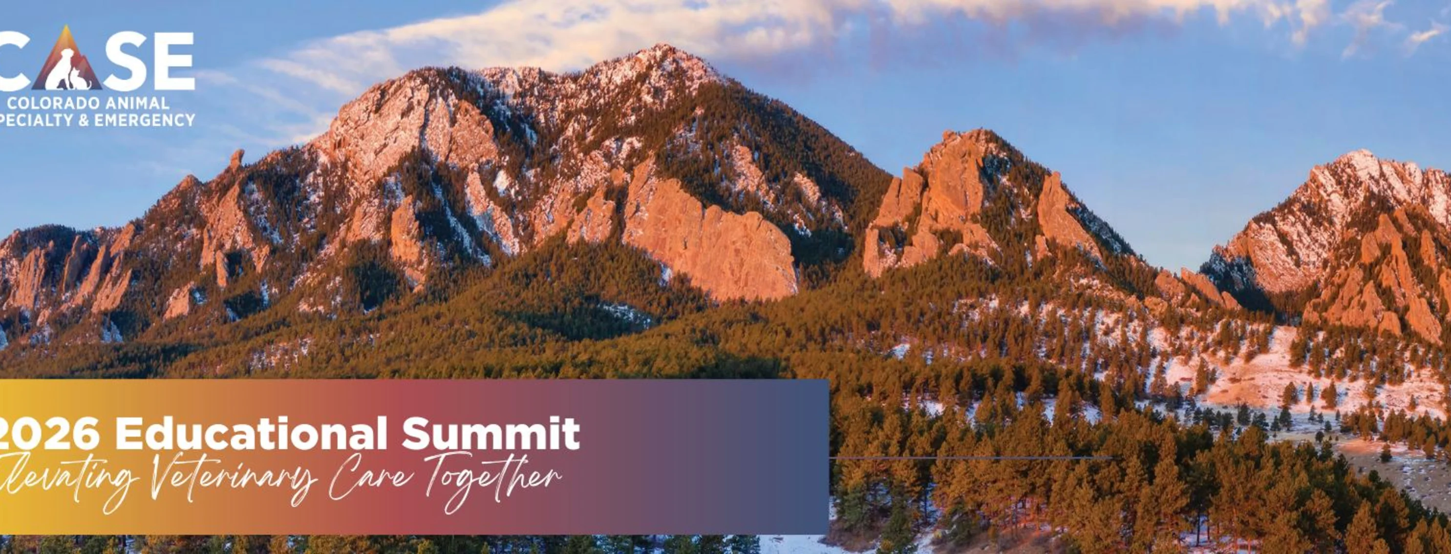 CASE Veterinary Educational Summit Flyer CASE Veterinary Educational Summit Flyer