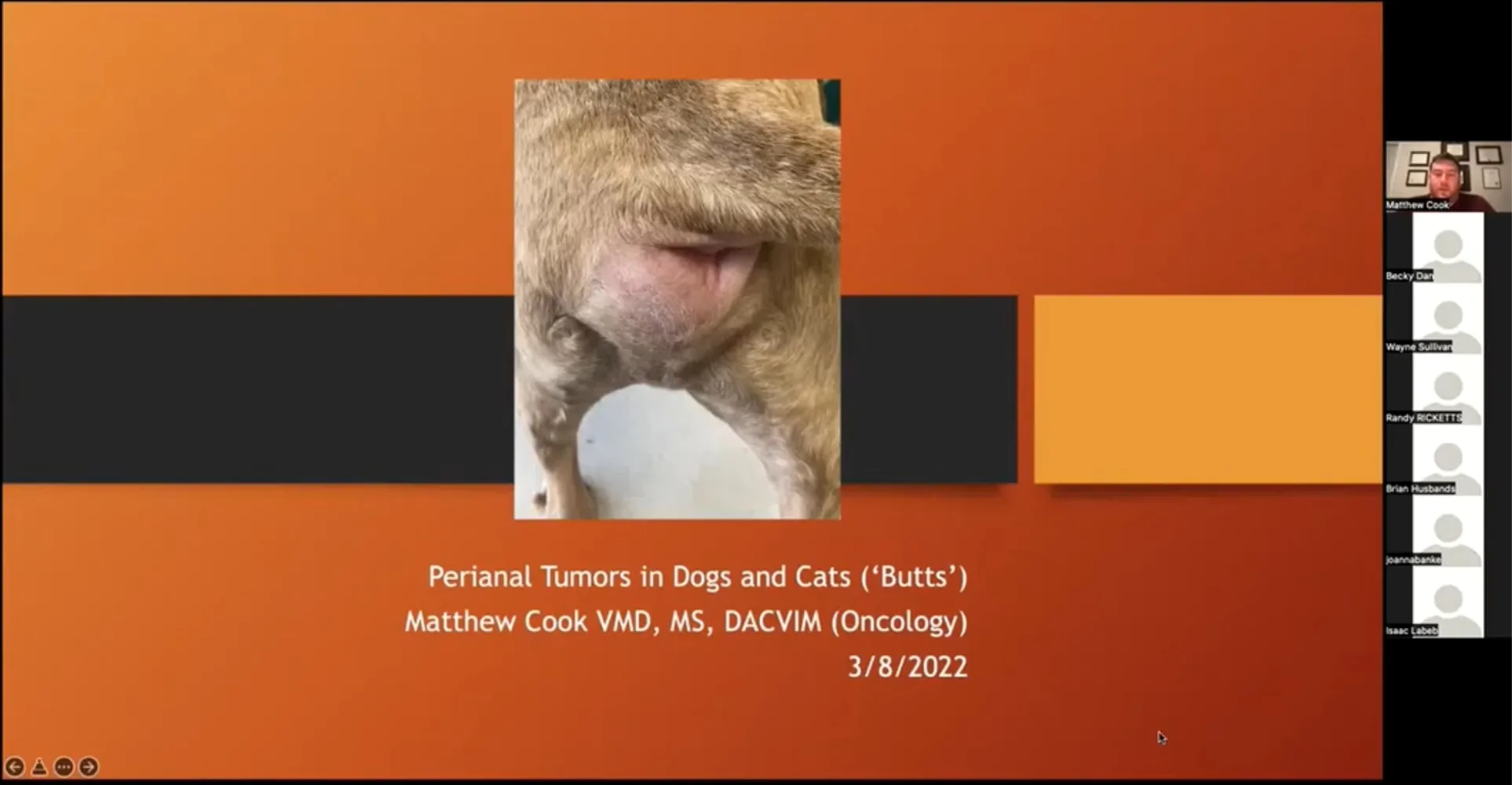 Butts and Bladder YouTube video screenshot.