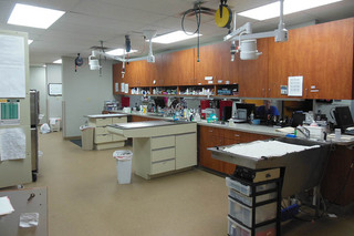 Treatment Room at Animal Hospital of Signal Mountain