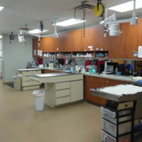 Treatment Room at Animal Hospital of Signal Mountain Treatment Room at Animal Hospital of Signal Mountain