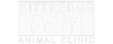 Kittredge Animal Clinic Logo Kittredge Animal Clinic Logo