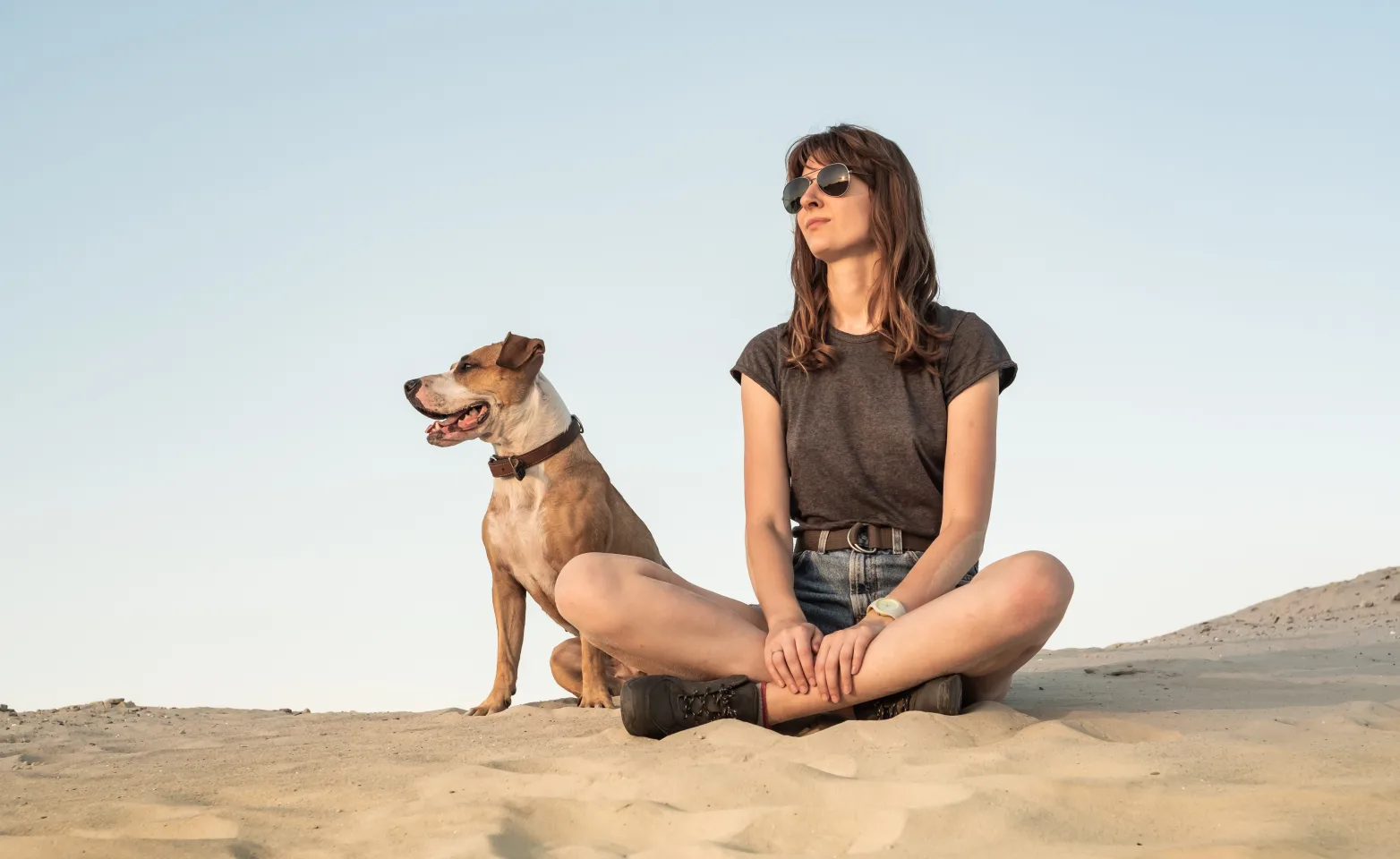 Dog and woman sitting in the sand