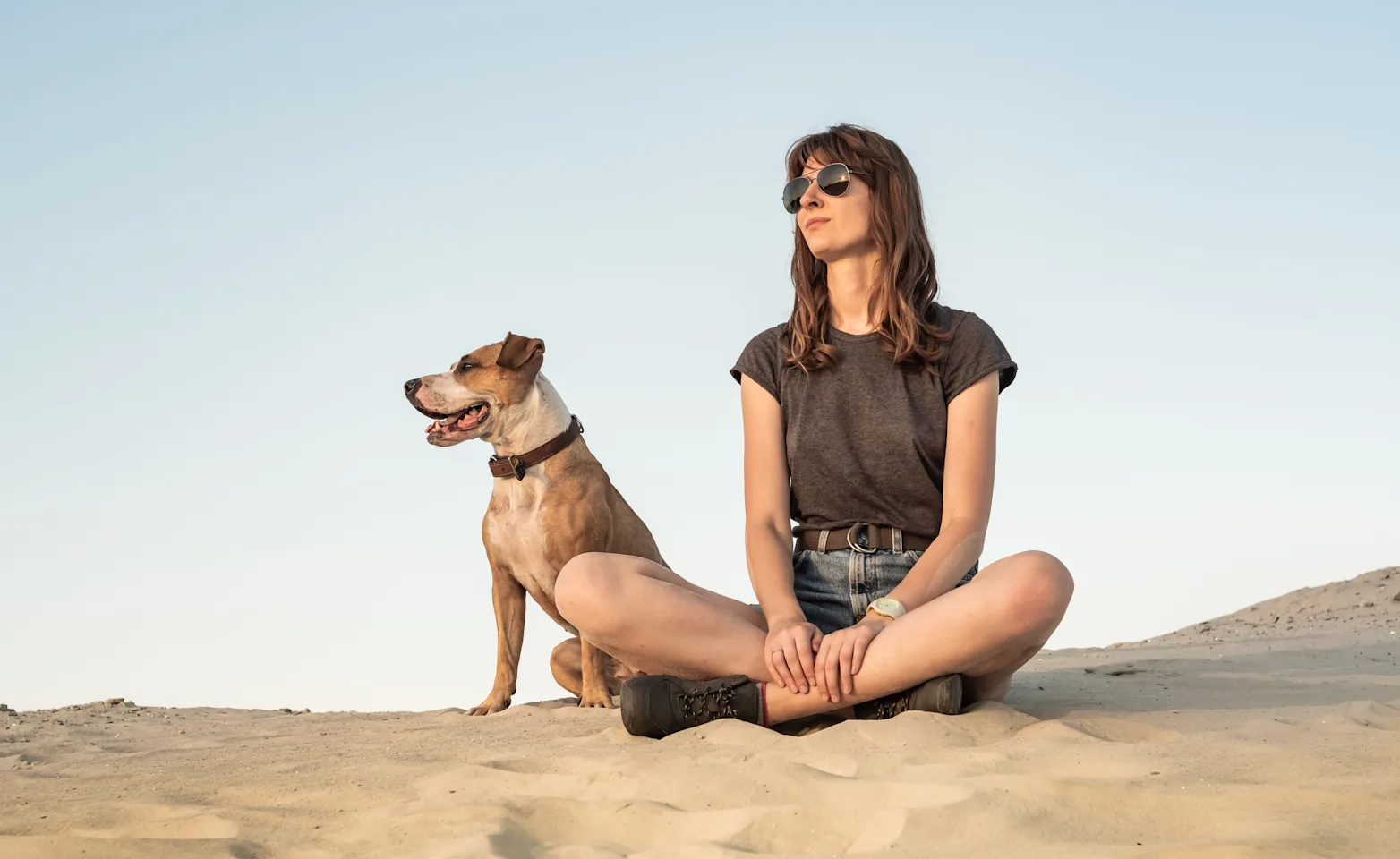 Dog and woman sitting in the sand Dog and woman sitting in the sand