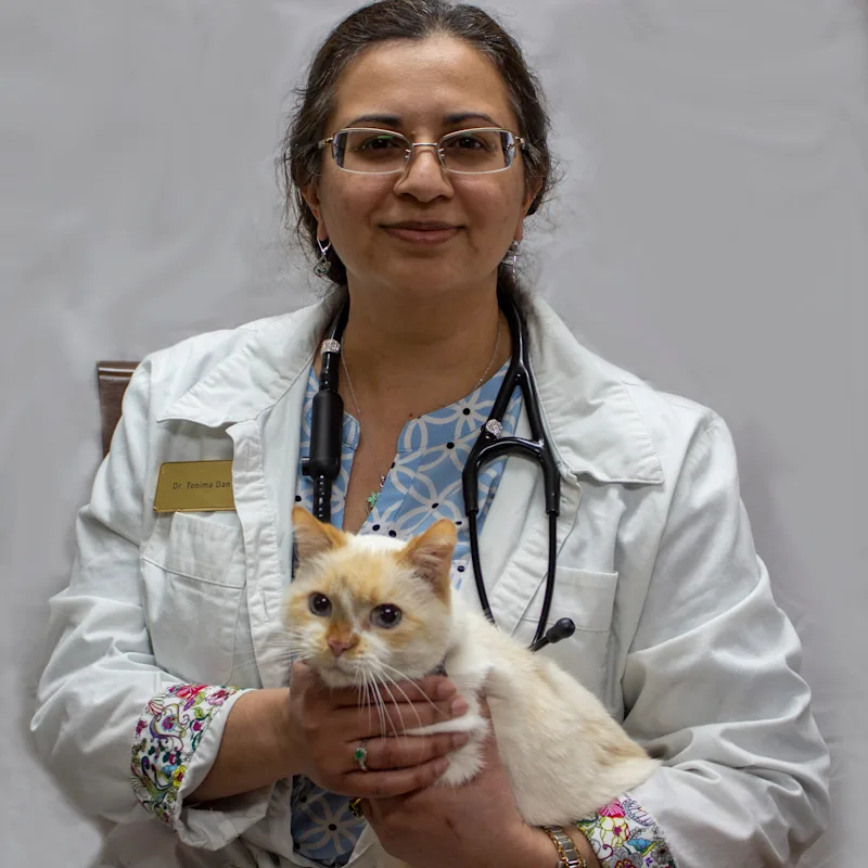 Dr. Tonima Dan Dr. Tonima Dan