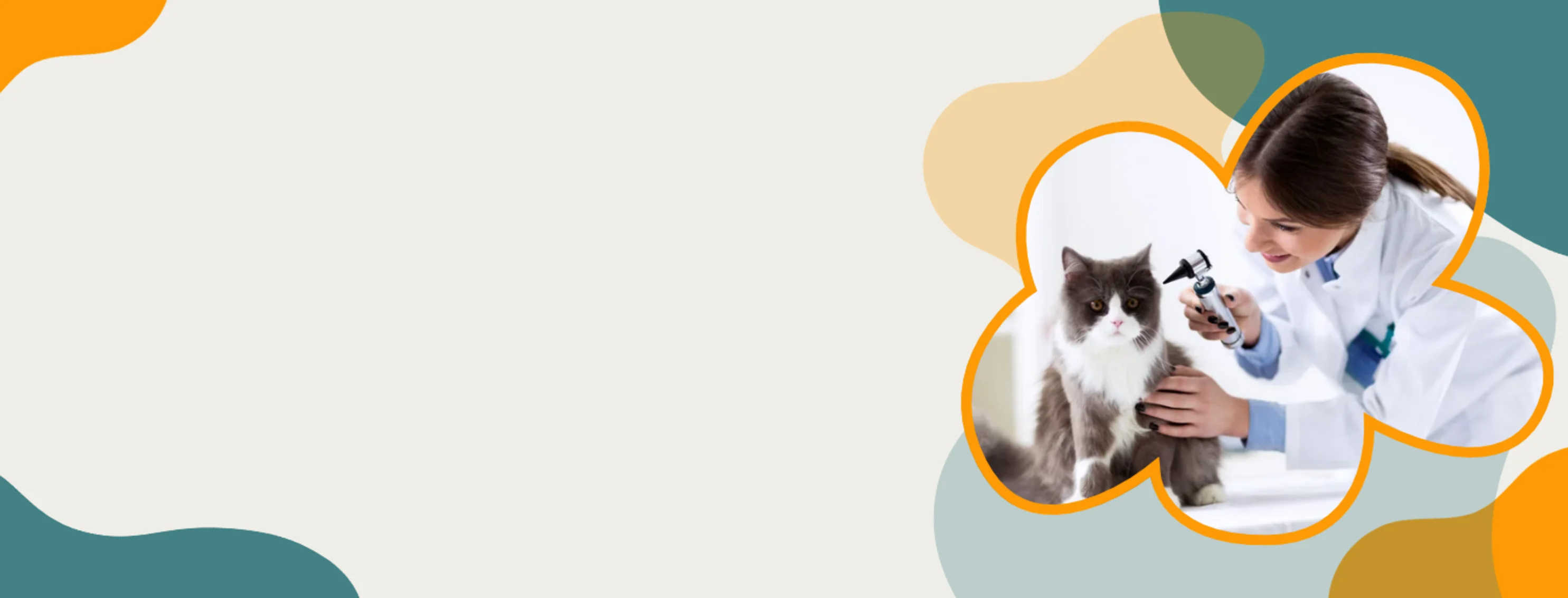 Orange & Teal Banner with Veterinarian & Cat Orange & Teal Banner with Veterinarian & Cat