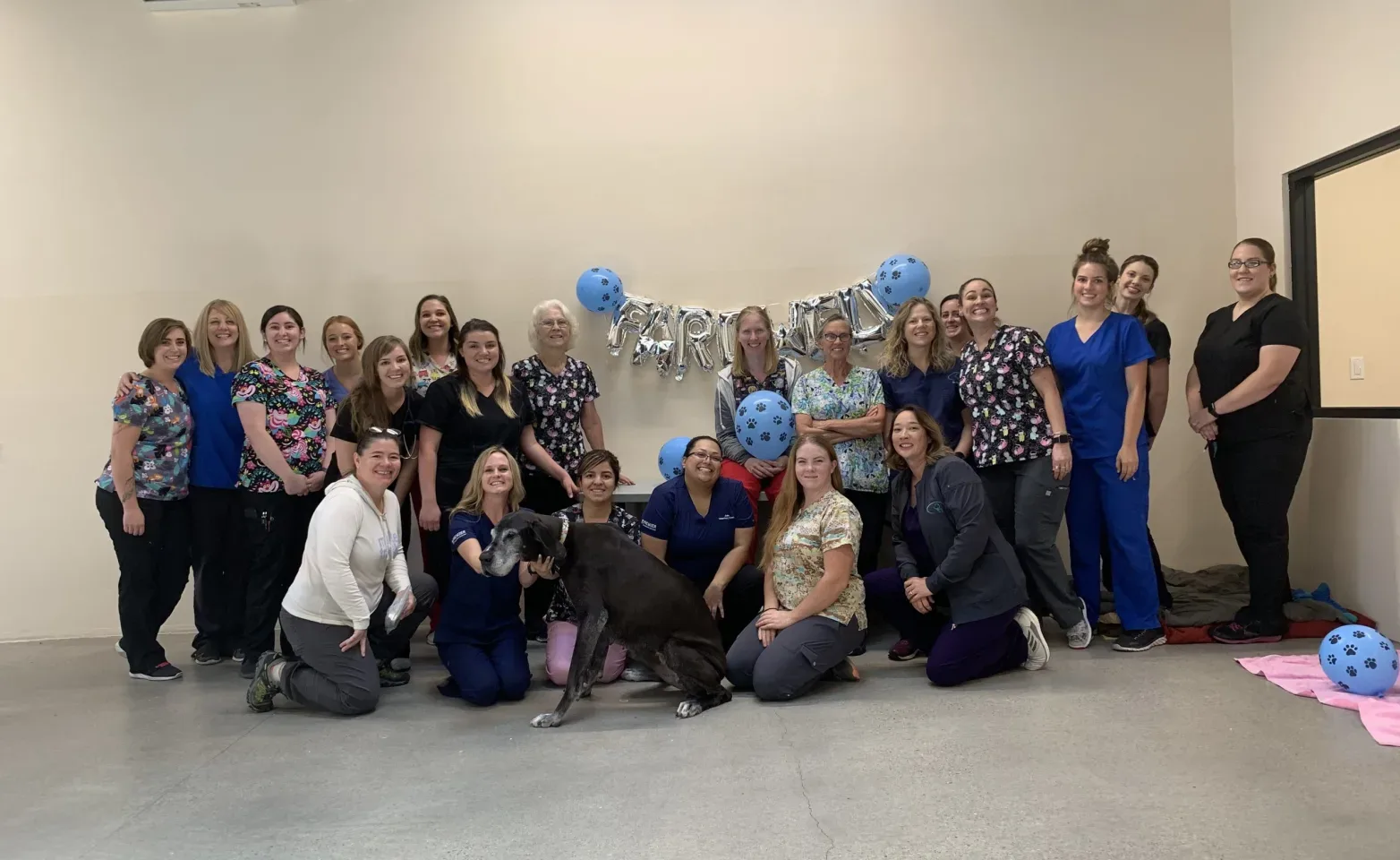 Jules Veterinary Center staff picture Jules Veterinary Center staff picture