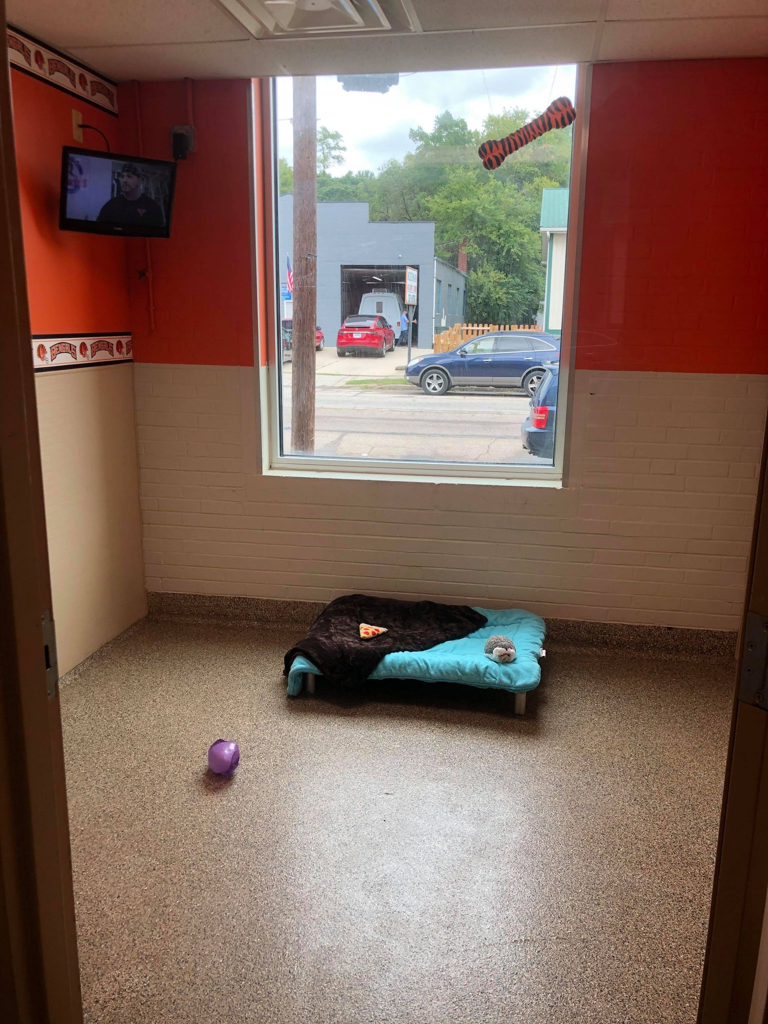 Cincinnati Bengals 35 view from open door