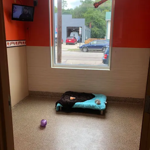 Cincinnati Bengals 35 view from open door Cincinnati Bengals 35 view from open door