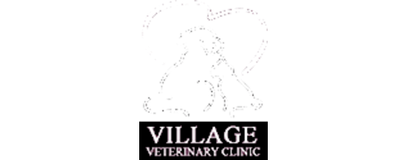 Village Veterinary Clinic Logo Village Veterinary Clinic Logo