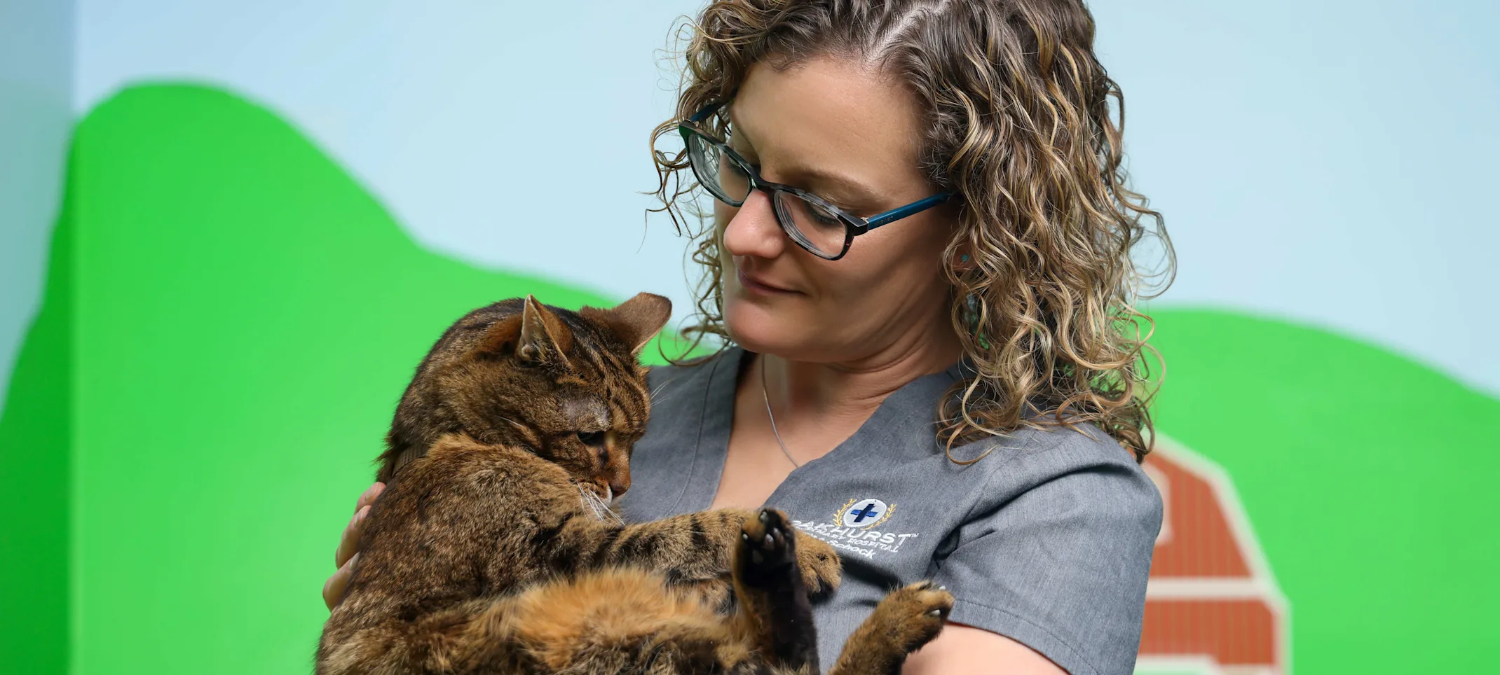 Senior Pet Care Senior Pet Care