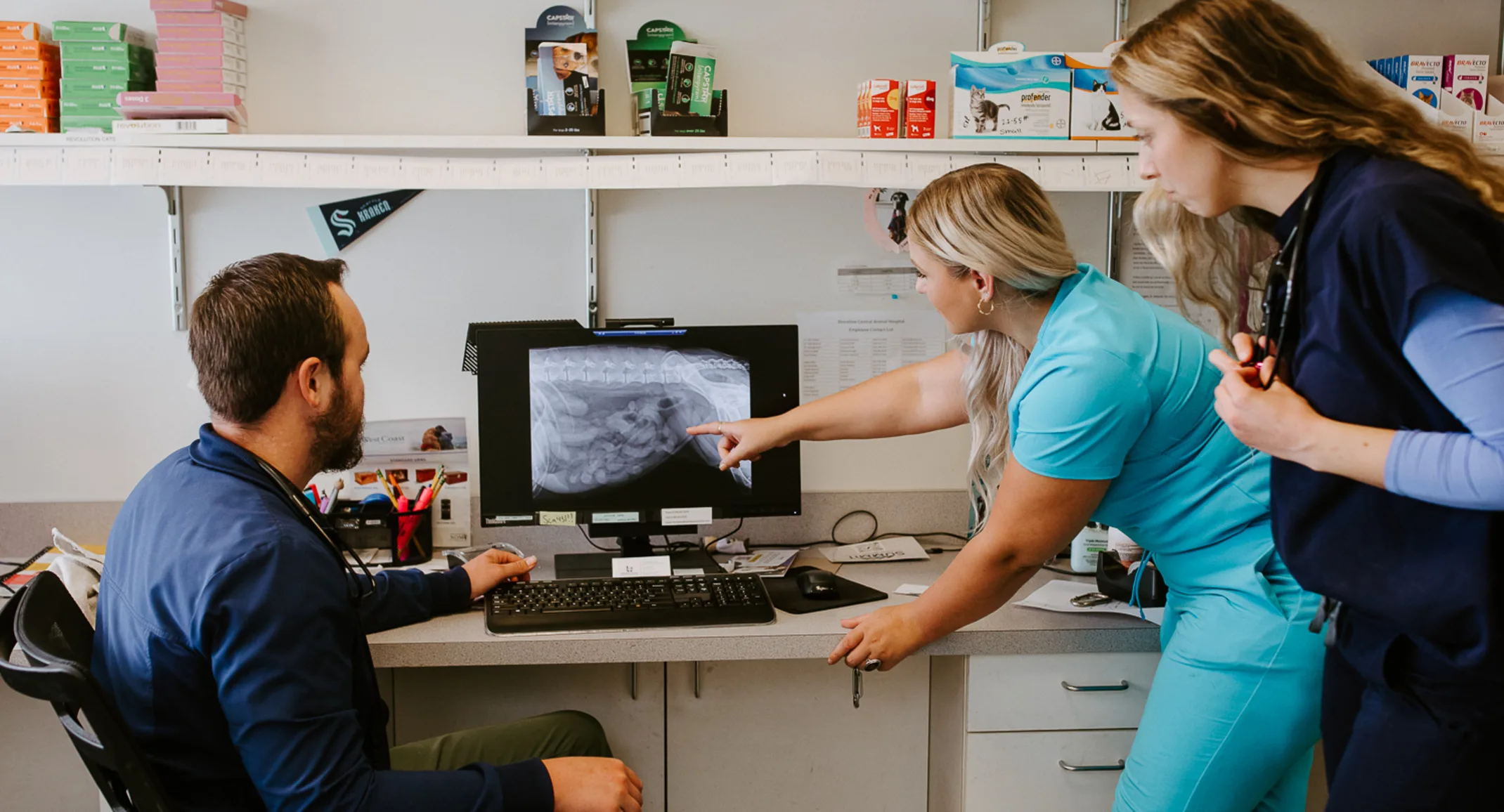 A veterinary care team from Shoreline Animal Hospital looking at a computer screen with an image of x-ray A veterinary care team from Shoreline Animal Hospital looking at a computer screen with an image of x-ray