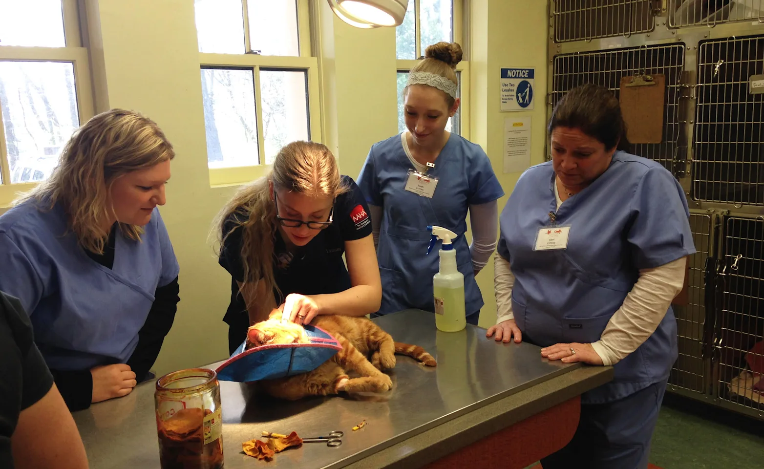 staff working with students staff working with students