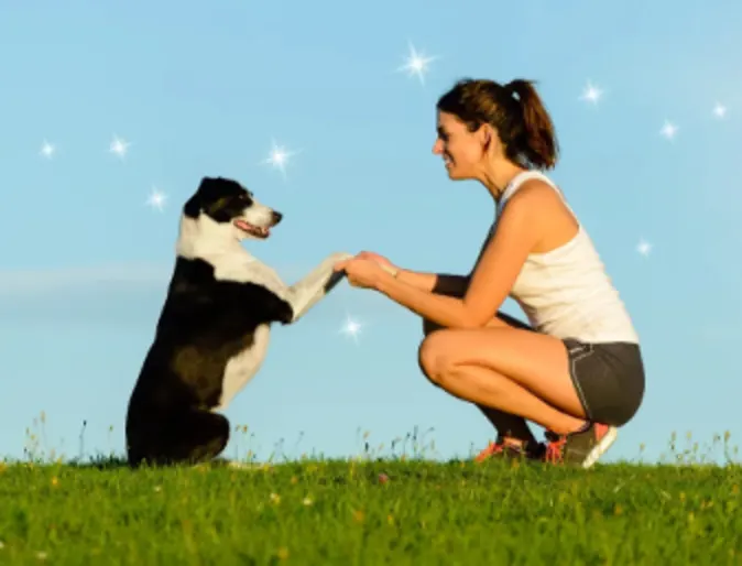A woman holding a dog's paws on a grassy field