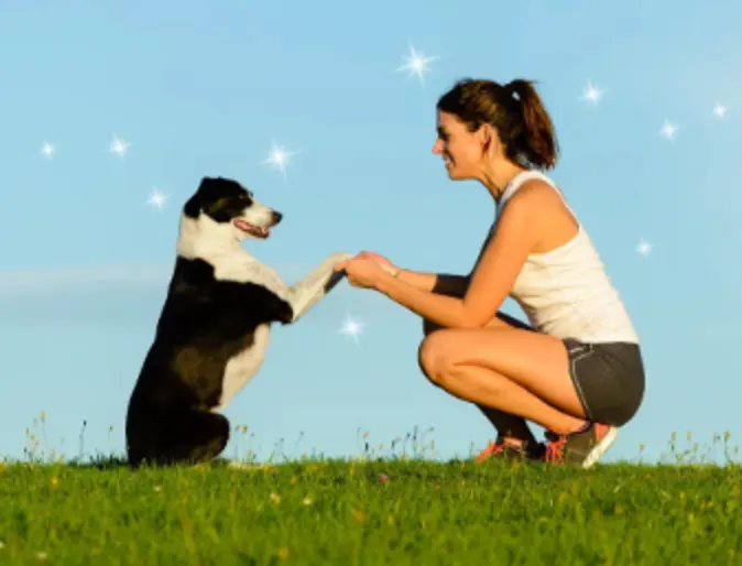 A woman holding a dog's paws on a grassy field A woman holding a dog's paws on a grassy field