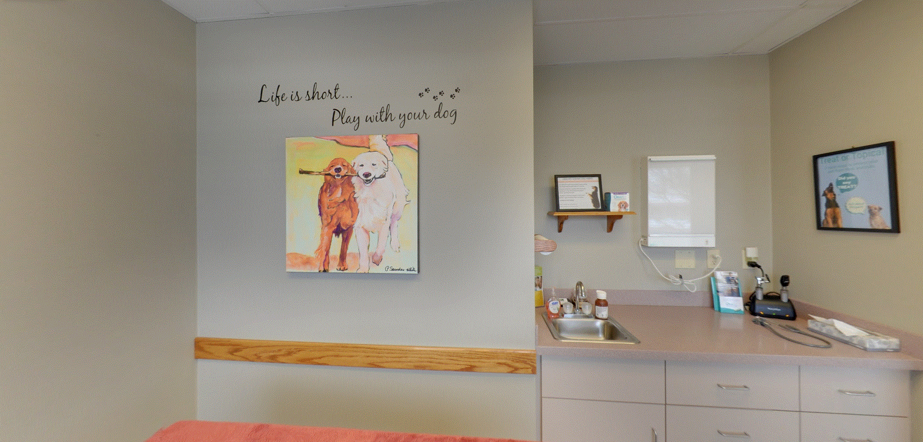 Peotone Animal Hospital - Exam Room 4 for dogs.  The room consist of an checkup table with an orange blanket, a small counter with a small sink that has medical equipment and supplies