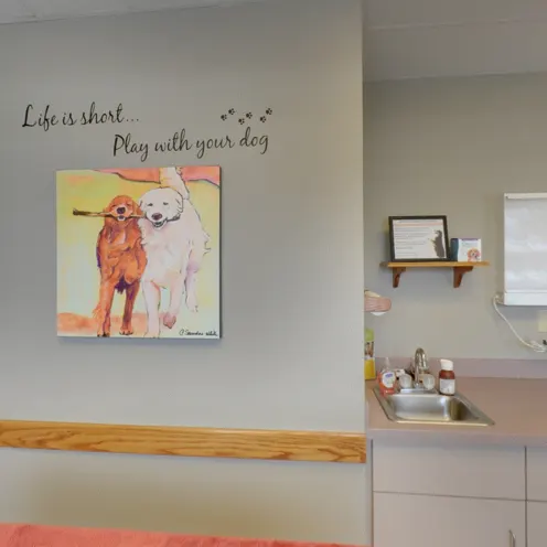 Peotone Animal Hospital - Exam Room 4 for dogs.  The room consist of an checkup table with an orange blanket, a small counter with a small sink that has medical equipment and supplies