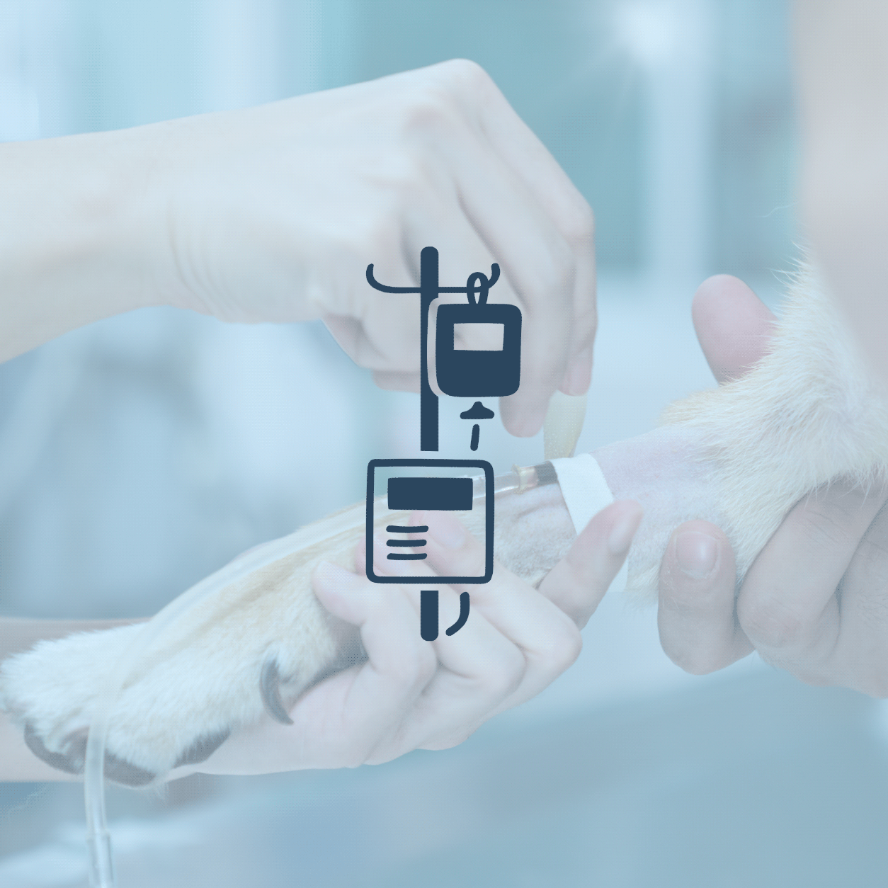 Doctor administering anesthesia