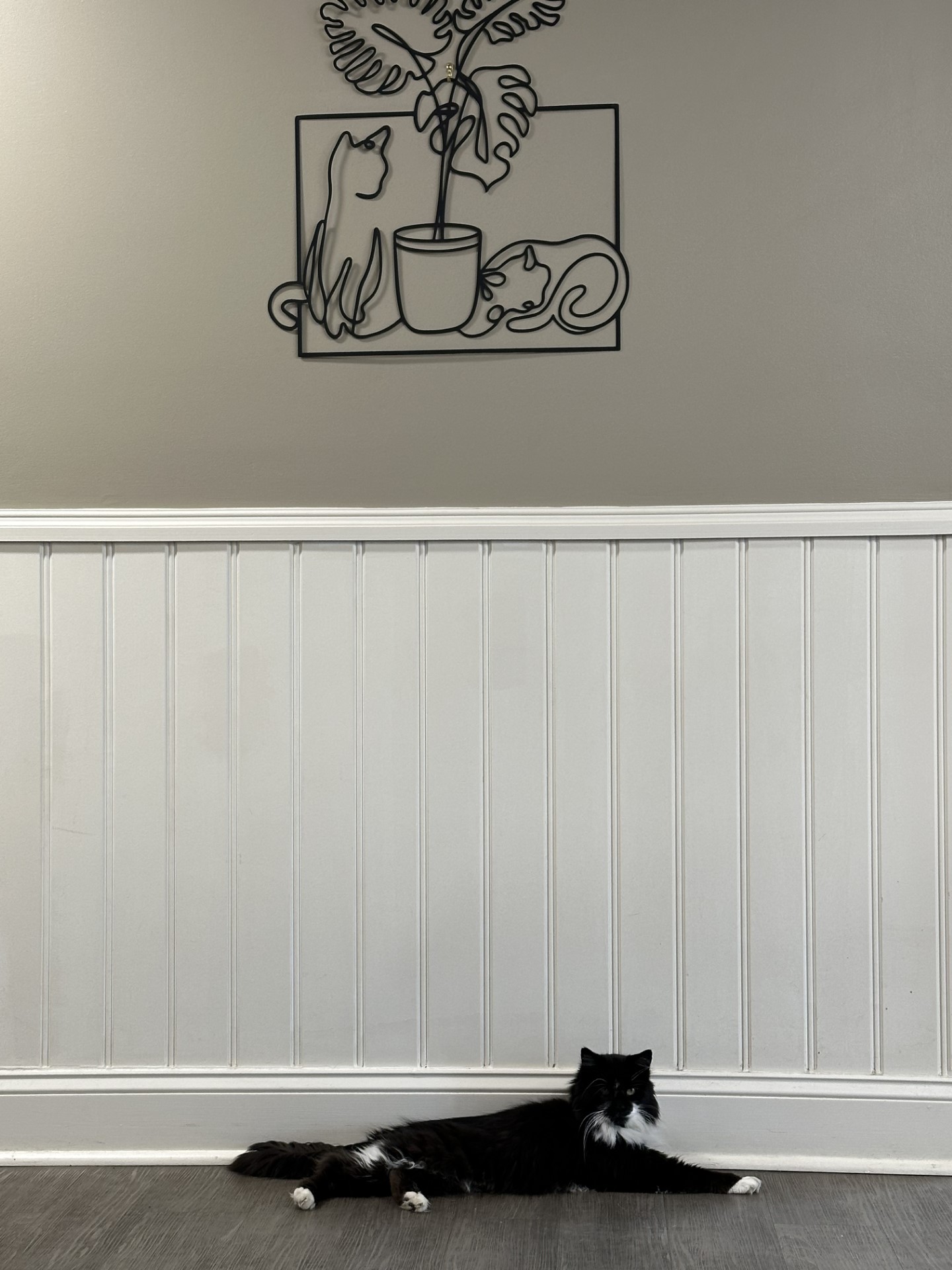 A black metal piece of art of 2 cats hanging up and a black and white cat laying on the floor underneath