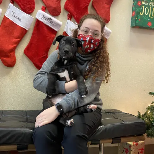  Mt. Hood Pet Medical 0474 -Photo 14 - Black/White Puppy Stockings