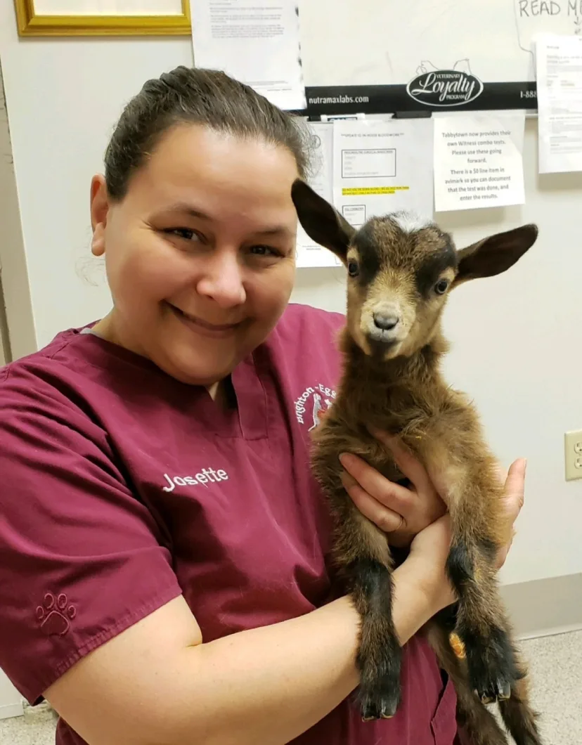 Josette Woronowicz - Veterinary Assistant at Brighton-Eggert Animal Clinic 