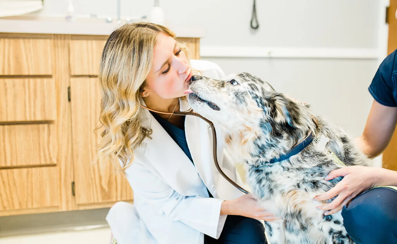 Doctor with dog at Animal Emergency and Specialty Hospital of Grand Rapids
