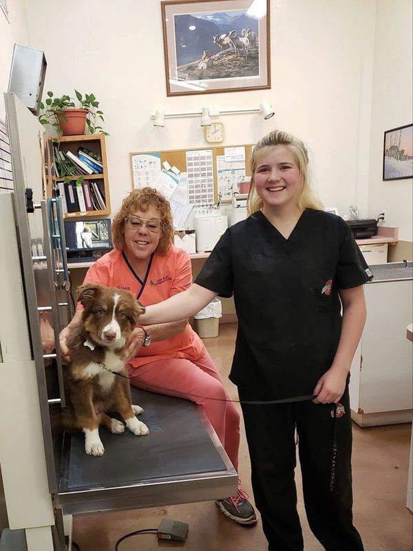 Staff members with dog