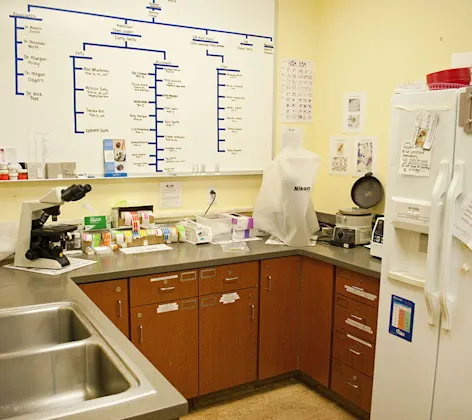 Diagnostic lab Diagnostic lab