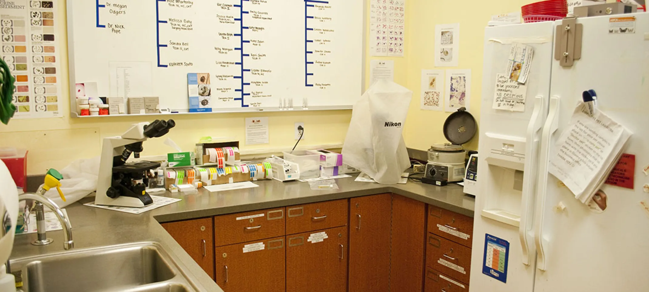 Diagnostic lab Diagnostic lab