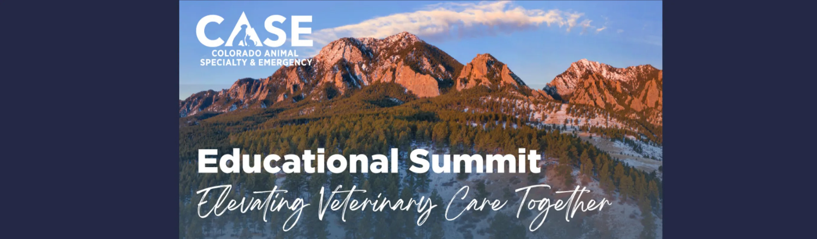 CASE Educational Summit Banner CASE Educational Summit Banner