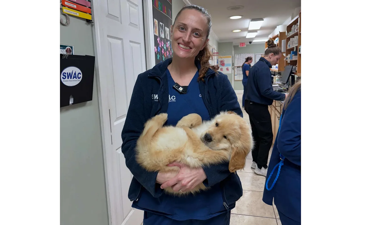 Staff holding golden retriever puppy Staff holding golden retriever puppy
