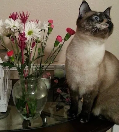 Kellie Eckles Kellie Eckles