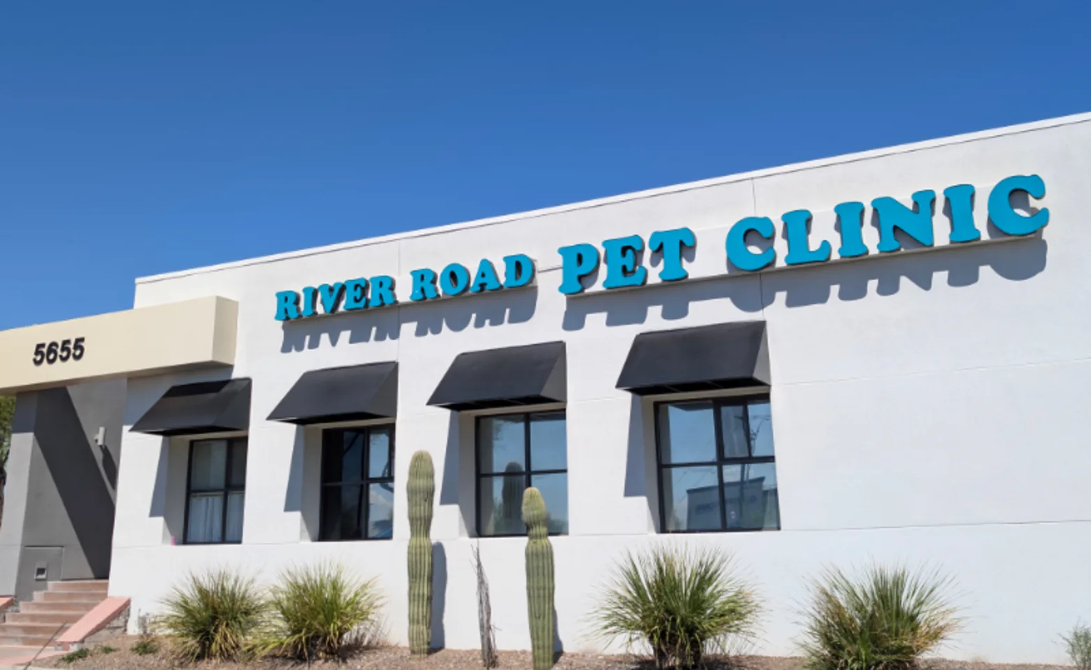 River Road Pet Clinic - Building Exterior Updated Sept. 2025 River Road Pet Clinic - Building Exterior Updated Sept. 2025