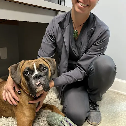 Boxer with Staff Member Boxer with Staff Member