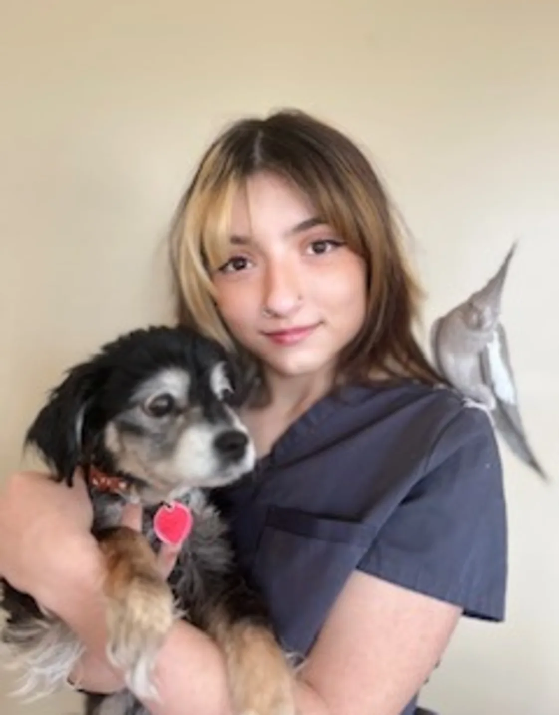 Giovanna T Giovanna T