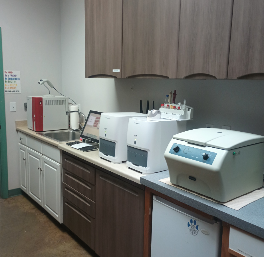 Updated lab with cabinets and technology