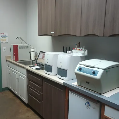 Updated lab with cabinets and technology