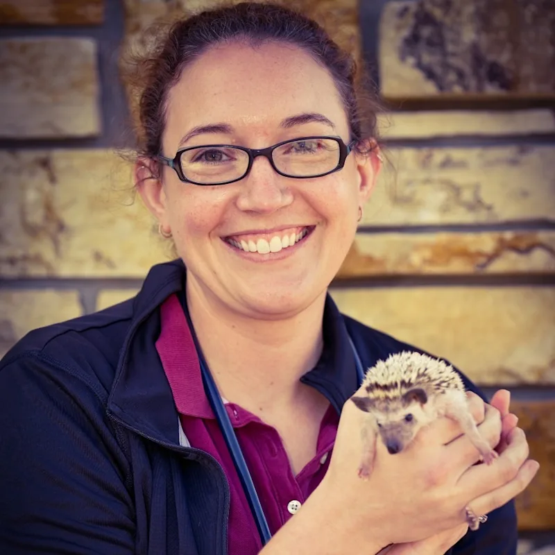 Dr. MacKenzie Paulson Dr. MacKenzie Paulson