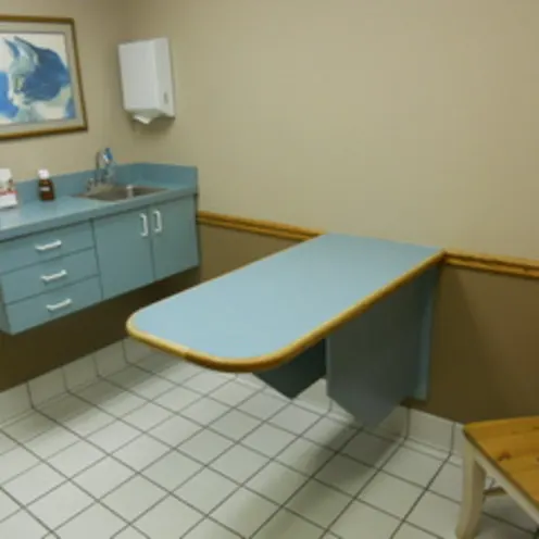 Chastain Animal Clinic Exam Room and exam table