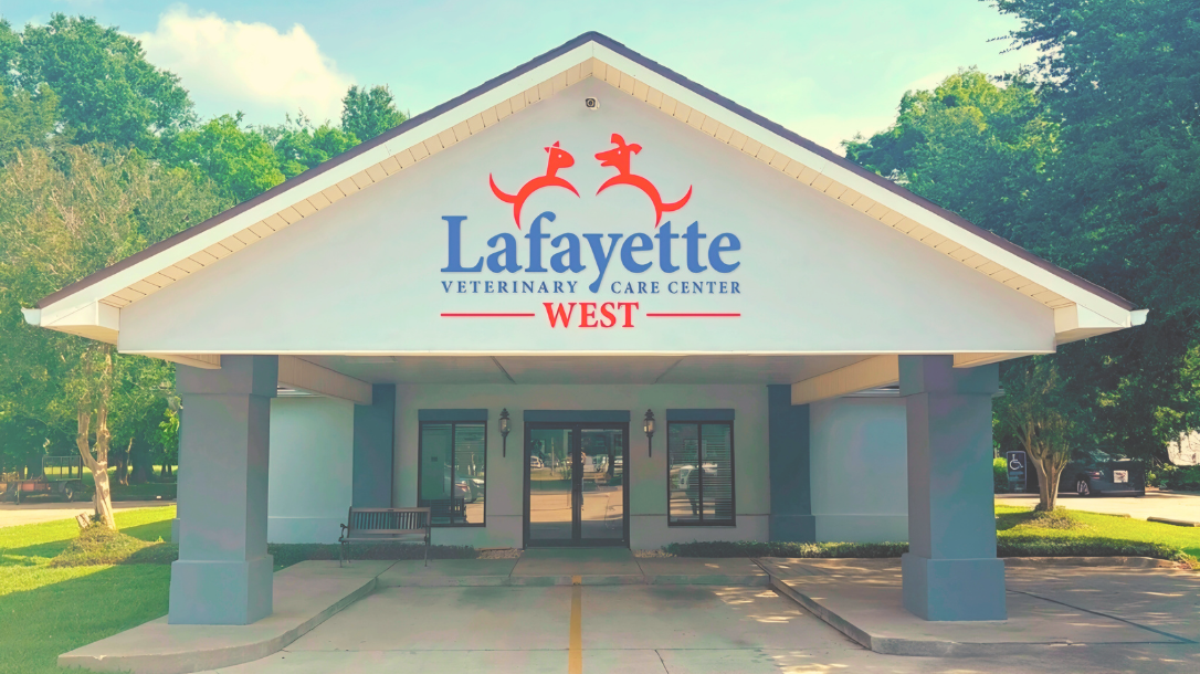 LVCC West Exterior Building View