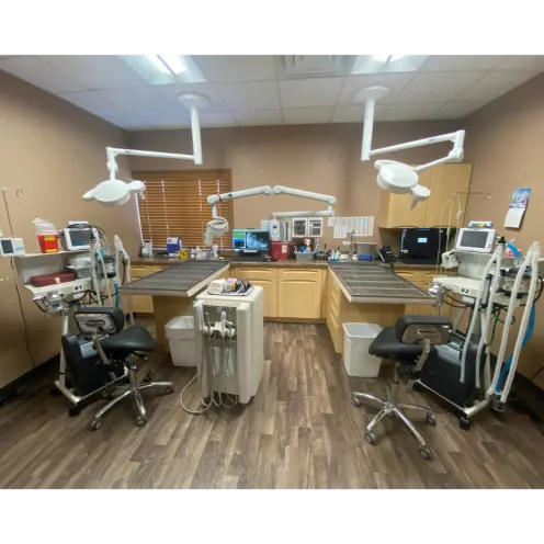 All City Pet Care East Dental Suite
