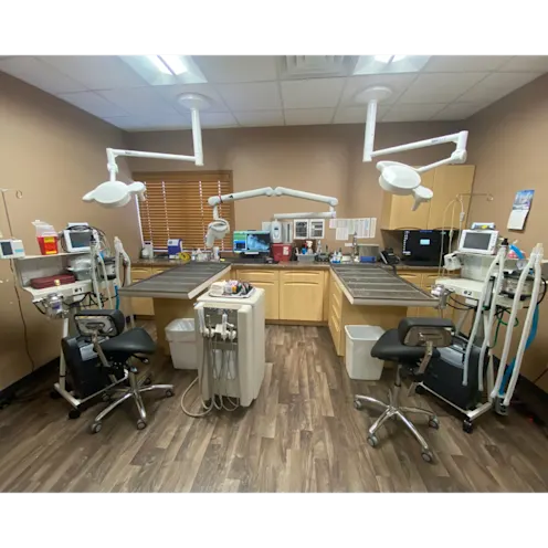 All City Pet Care East Dental Suite All City Pet Care East Dental Suite