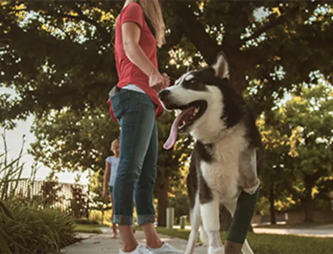 Pet owner Brandi with dog surrounded by trees Pet owner Brandi with dog surrounded by trees