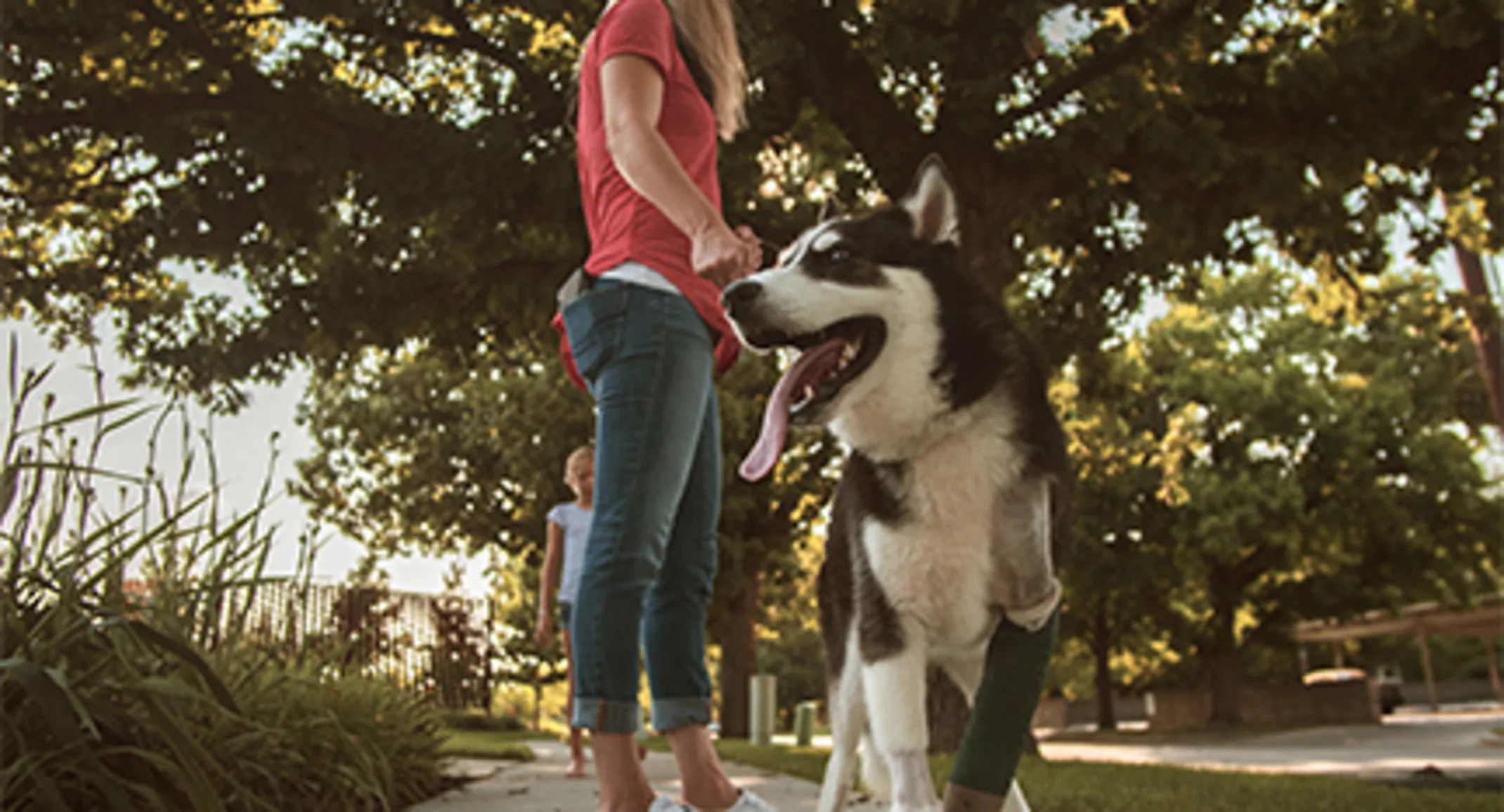 Pet owner Brandi with dog surrounded by trees Pet owner Brandi with dog surrounded by trees