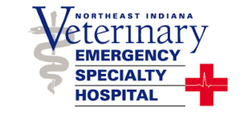 Northeast Indiana Emergency Specialty Hospital-HeaderLogo