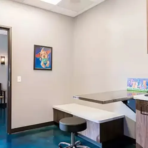 Examination Room Examination Room